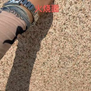 三沙黄金麻火烧面
