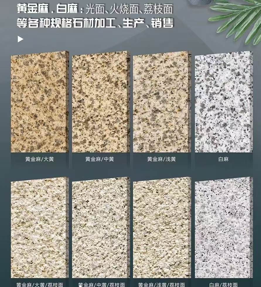 三沙 黄金麻白麻样品展示