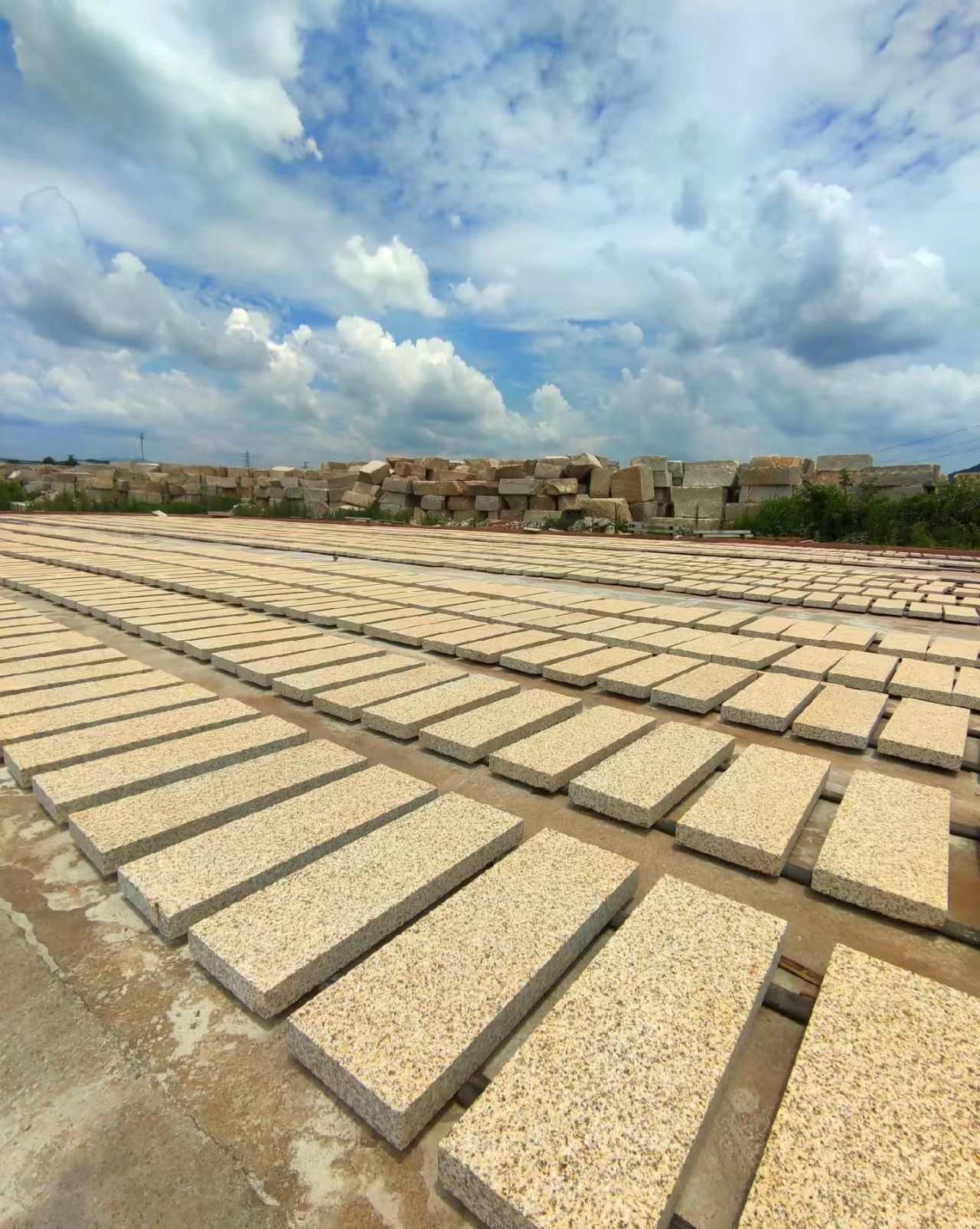 三沙 黄金麻花岗岩荔枝面地铺石防护中